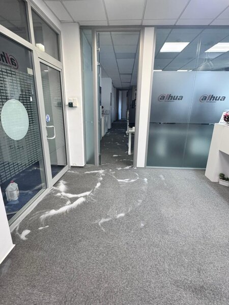 Maxim Carpet Washing - Profesionisti in spalarea mochetelor